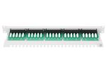 Picture of Loaded Patch Panel ISDN 25 Port