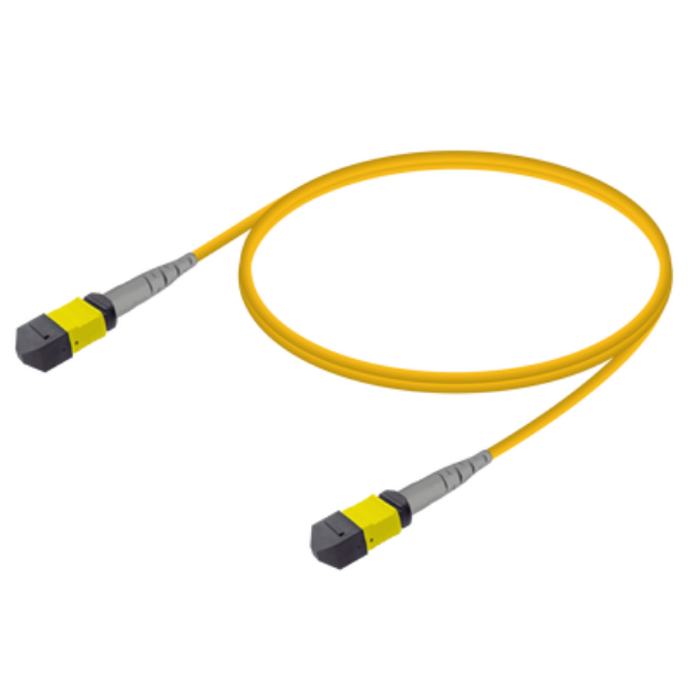 Picture of MPO/MTP M-M Patchcord Base-8 SM 