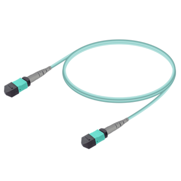 Picture of MPO/MTP M-M Patchcord Base-8 MM OM3 