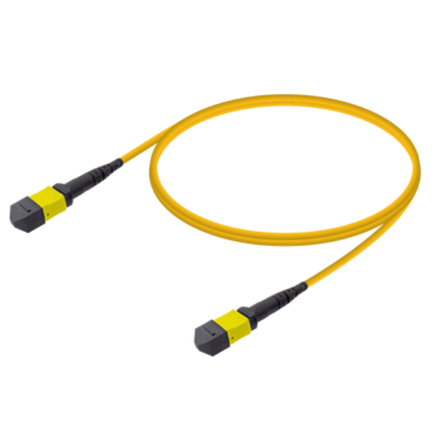 Picture of MPO/MTP F-F Patchcord Base-12 SM 