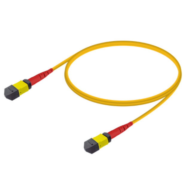 Picture of MPO/MTP M-M Patchcord Base-24 SM 