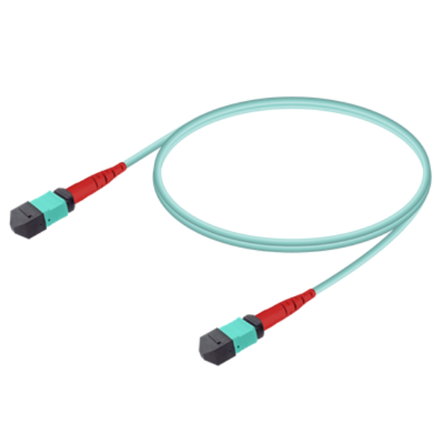 Picture of MPO/MTP F-F Patchcord Base-24 MM OM3 