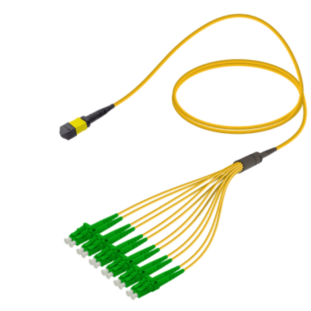 MPO Patchcord Male-LC/APC Base-12 SM  resmi